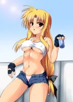 mahou_shoujo_lyrical_nanoha_-_lanyok_00041.jpg